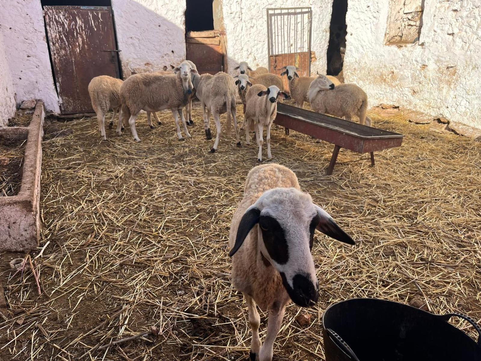 Khaima Oulad Abbou Экстерьер фото